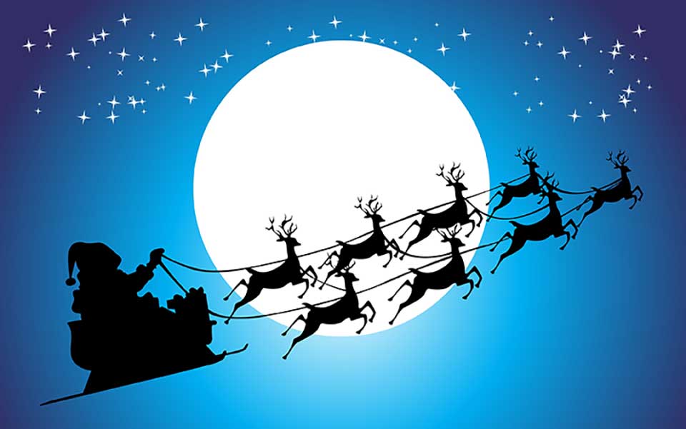 Santa's Reindeer are Male - Spoiler Alert - Reindeer are ...
